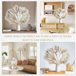 Anthropologie Dried Pampas Grass - Thumbnail 3